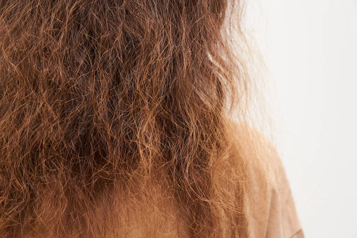 Dry & Rough Hair